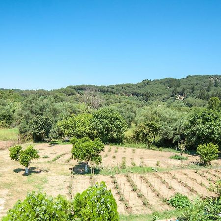 Vassilis Paradise Garden Aparthotel Agios Georgios Pagon Exterior foto