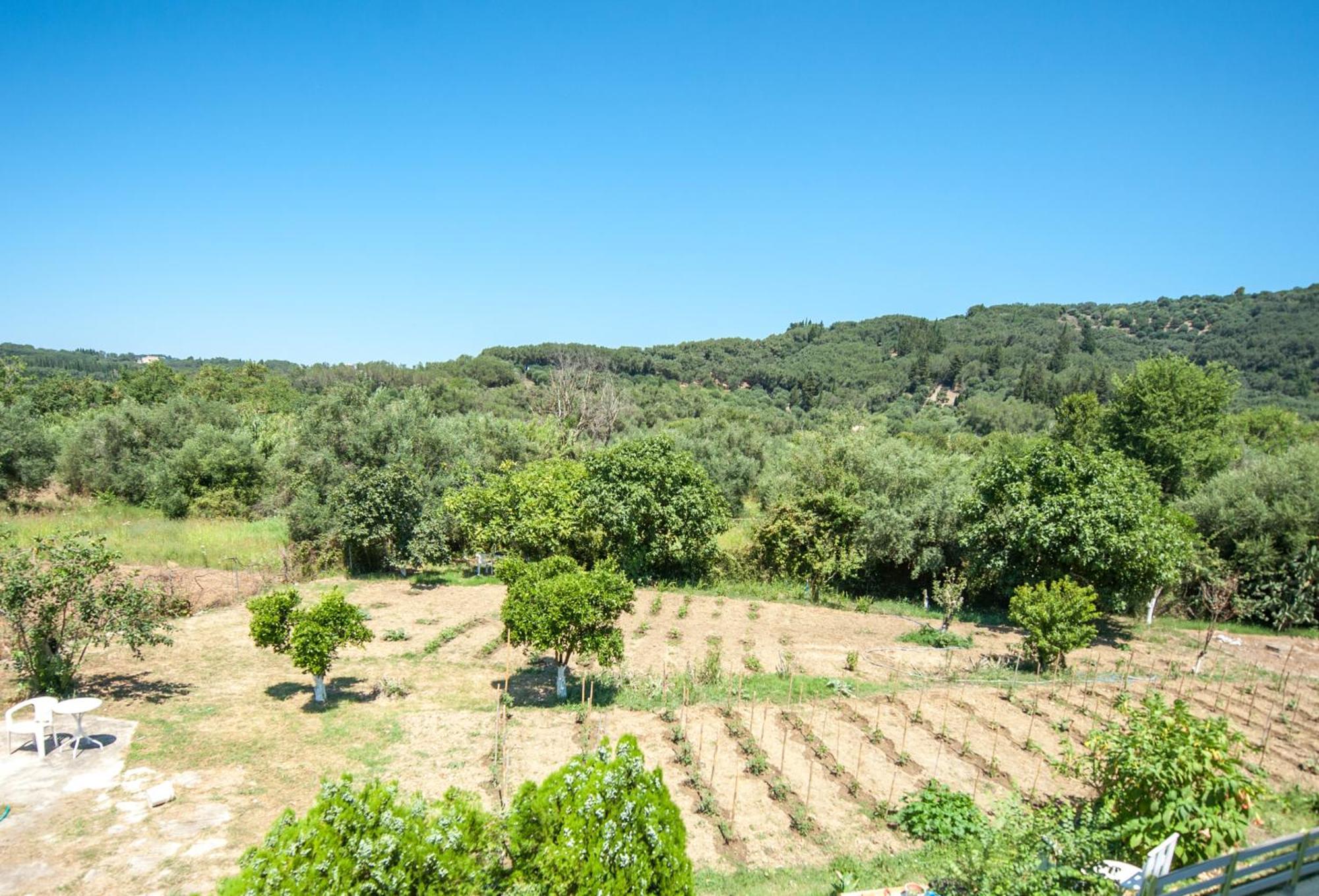 Vassilis Paradise Garden Aparthotel Agios Georgios Pagon Exterior foto